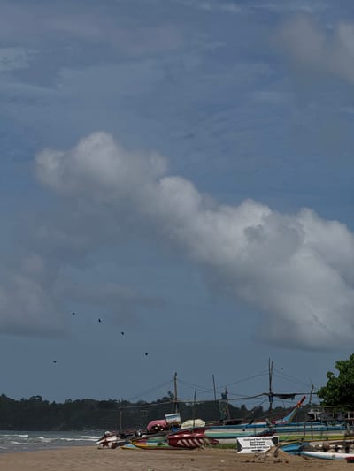 The image depicts a serene beach scene in Weligama, Sri Lanka, under a partially cloudy sky. In the foreground, colorful fishing boats are pulled up onto the sandy shore. A white sign is visible near some of the boats, advertising "Chill and Surf School, Surf lesson, Board Rent, Restaurant and Juice Bar." In the middle ground, the turquoise ocean meets the shore with gentle waves. Beyond the beach, a lush green coastline with trees forms the background. Several birds are seen flying in the sky, adding a touch of life to the tranquil setting. The overall atmosphere is peaceful and idyllic, characteristic of a tropical beach destination.