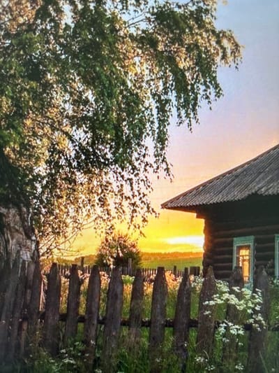 This media file captures a rustic scene in Kuvshinovo, Russia, likely during a late afternoon or early evening, given the warm, golden light illuminating the sky and landscape. The primary subjects are a traditional wooden house and a weathered wooden fence. The house, partially visible, has a dark, shingled roof and a window that emits a warm glow, suggesting an interior light. The fence, made of rough-hewn logs, runs horizontally across the frame, dividing the foreground from the background.
Lush greenery, including trees with abundant foliage and some flowering bushes, surrounds the house and fence, indicating a rural or semi-rural setting, possibly a dacha or an older village home. The tree on the left is particularly prominent, its leaves rustling, implying a gentle breeze. The overall impression is one of tranquility and a connection to nature.
The time of day is clearly sunset or sunrise, with a bright, warm light that casts long shadows and bathes the scene in a golden hue. The weather appears to be clear and calm. The location cues, such as the wooden architecture and rustic fencing, are consistent with the context of rural Russia. No people are visible in the frame, and no text is present. The scene evokes a sense of peacefulness and nostalgia.