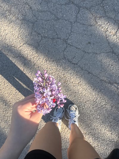 The image, taken from a top-down perspective, shows a person standing on cracked asphalt ground in Lehchevo, Bulgaria. The subject's lower legs and feet are visible, clad in white athletic shoes with white laces and black socks, along with black shorts. The person is holding a small bouquet of delicate purple lilac flowers in their hands, which are positioned in the lower center of the frame. A small red ladybug is visible on one of the lilac blossoms, adding a notable detail.
Strong, direct sunlight casts long shadows on the ground, suggesting either early morning or late afternoon. The asphalt is textured and shows signs of wear with numerous cracks. The overall atmosphere appears tranquil, focusing on a simple moment of connection with nature. No visible text is present in the image.