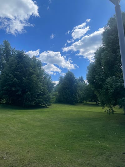 A wide shot captures a grassy park area under a bright blue sky with scattered white clouds. Several large, lush green trees dominate the mid-ground, forming a dense line across the park. The foreground is a well-maintained green lawn, casting faint shadows from the trees. The scene is peaceful and appears to be in a suburban or park setting.