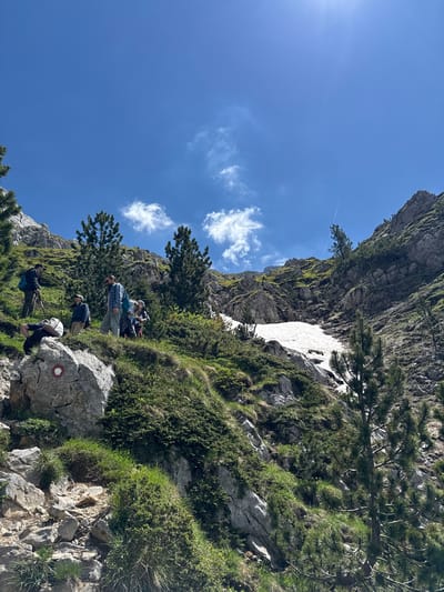 A group of six hikers is on a mountain trail under a clear blue sky with scattered clouds. The terrain is rocky and covered with green vegetation and some patches of snow. The hikers are dressed in outdoor clothing and carrying backpacks. Some are walking, while one person is lying down on a rock. The trail is marked with a red and white circular symbol on a large boulder. Tall pine trees are scattered on the mountainside. The sun is shining brightly, creating lens flare in the upper right corner of the image. The location is identified as Jošanica, Montenegro.