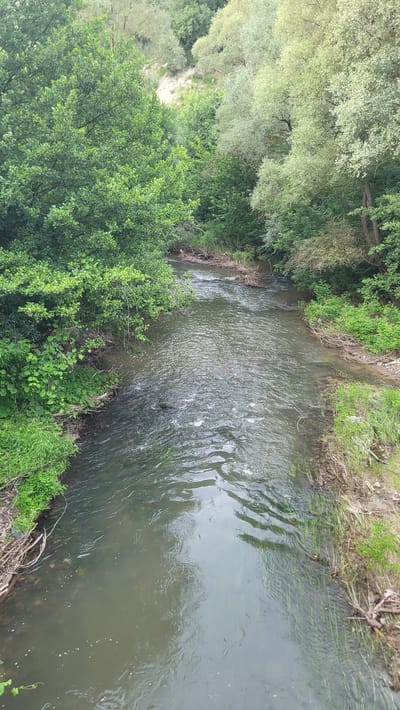 This media file depicts a view from above of a narrow, shallow river winding through a lush, green environment. The riverbanks are densely vegetated with trees and undergrowth. On the left side of the frame, a steep bank is visible, with sandy patches interspersed with greenery. The water itself is murky brown and appears to have a gentle current, with ripples on the surface reflecting the sky and surrounding foliage. Submerged aquatic plants are visible in some areas. The overall impression is one of a natural, undeveloped landscape. The time of day and weather are not explicitly indicated, but the lighting suggests it is daytime with some cloud cover, as evidenced by the reflections in the water. The location context provided is Vishna, Bulgaria. There is no visible text in the image.