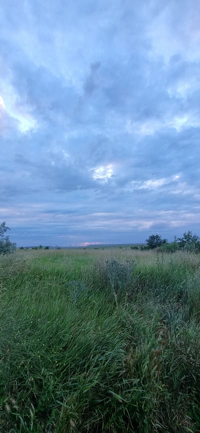 The image depicts a wide, open field of tall green grass under a cloudy sky. The horizon is visible in the distance, marked by a faint line of trees and what appear to be utility poles or wind turbines. The sky is filled with a mixture of light and dark blue clouds, with some brighter patches suggesting the presence of the sun, possibly near sunset or sunrise. The foreground is dominated by dense, lush green grass, with some smaller yellow flowers scattered throughout. The overall impression is of a natural, rural landscape. The location is identified as Blizhnee, Ukraine, suggesting a setting within the Ukrainian countryside. There are no people or animals visible in the image, nor any specific actions or interactions taking place. The environment is characterized by its natural elements: grass, sky, and distant vegetation.