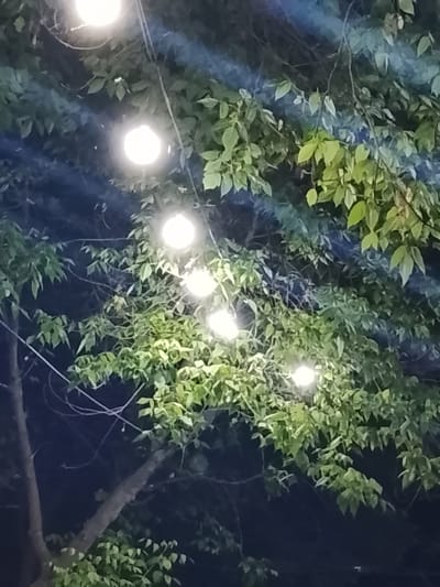The image depicts a dark, outdoor setting in Sabir Rakhimov, Uzbekistan. Several round, glowing lights are strung amongst the branches of a tree, illuminating the leaves. The tree appears to be in full foliage. The background is dark, suggesting it is nighttime.