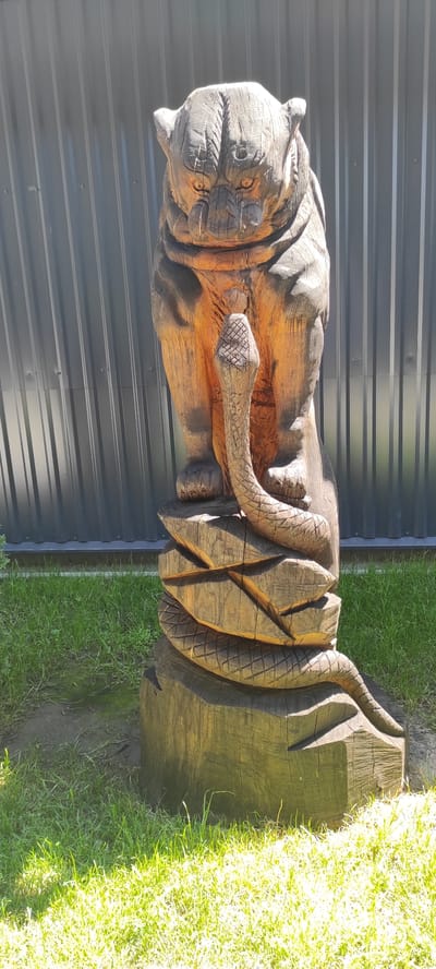 A carved wooden statue depicts a stylized animal resembling a tiger, seated with its paws resting on a coiled snake that is intricately carved into the base. The snake's body is wrapped around a cylindrical wooden stump, with its head reaching up towards the tiger's chest. The tiger has a stern expression with deeply carved facial features and a textured mane. The sculpture is positioned outdoors on a grassy area in front of a corrugated metal fence. The scene suggests it is daytime, with bright sunlight casting shadows. There are no people or animals other than the depicted subjects. The statue is located in the city of Tulskiy, Russia.