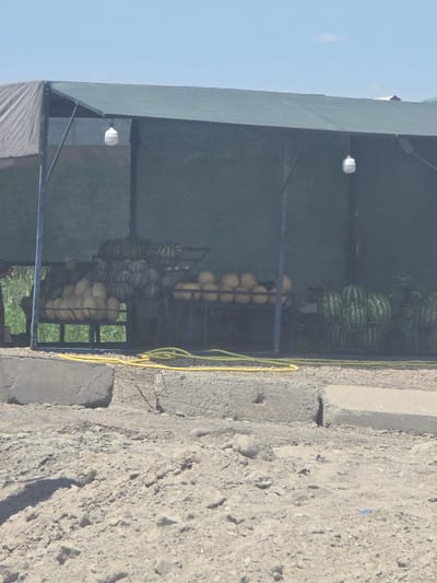 This image depicts an outdoor fruit stand in Bukhara, Uzbekistan. A green canopy, supported by metal poles, provides shade over a display of watermelons and possibly other melons. The watermelons are arranged on tiered metal racks. In the foreground, a yellow hose lies on the ground, and concrete barriers line the area. The ground is covered in gravel and dirt. The sky is clear and blue. There are no visible people in the frame.