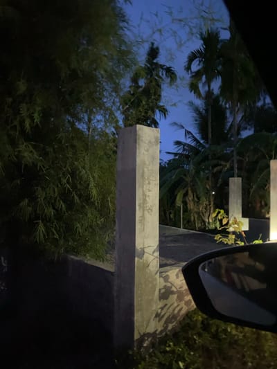 The image captures a dimly lit outdoor scene, likely at dusk or night, in Meunasahlhok, Indonesia. The composition is dominated by lush green foliage, including what appears to be bamboo and palm trees, creating a sense of tropical environment. In the foreground, a concrete structure, possibly a wall or a bench, runs horizontally, showing signs of wear. Above this, another similar concrete element is visible. A car's side mirror is partially visible in the upper right corner, reflecting a dark interior and possibly the photographer. The sky in the background is a deep blue, indicating twilight. The overall mood is serene and natural, with a hint of urban presence due to the car mirror. There is no visible text in the image.