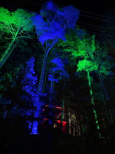 A dark, low-angle shot captures a dense forest at night, illuminated by vibrant blue and green lights. The lighting accentuates the branching structures of tall trees, creating an ethereal, almost artificial landscape. In the background, hints of red lights suggest some form of structure or decoration within the woods. The scene appears to be from an outdoor event or art installation, possibly within the vicinity of Turgoyak, Russia, given the context of similar light displays in natural settings during nocturnal events. There are no people visible in the image, and the focus is entirely on the interplay of light and the natural environment.