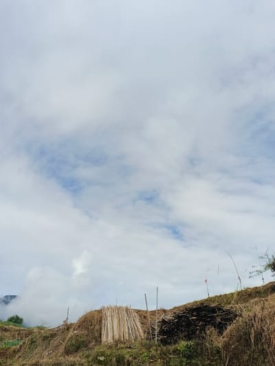 The landscape displays a cloudy sky dominating the upper half of the image. Below, a hillside features stacks of lumber, both light and dark in color. Sparse vegetation dots the slope, with some taller grasses and shrubs visible. A hazy mountain peak appears to the left, partially obscured by low-lying clouds or mist. The ground is dry and uneven.