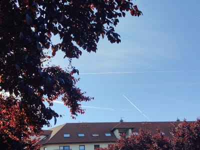 The image shows a clear blue sky with scattered contrails from an airplane. In the foreground, the branches of a dark red tree, likely a plum tree, extend across the upper left portion of the frame, obscuring parts of the sky. Below the tree, a tiled roof of a building is visible, with several dormer windows and a small attic window. The building appears to be residential or commercial. To the right of the building, more of the red-leafed trees are present, interspersed with the building structure. The scene is set in Bielany Wrocławskie, Poland, suggesting a suburban or semi-urban environment on a bright, possibly sunny day. There are no people visible in the frame. The overall impression is one of a calm, everyday scene, with the vibrant red foliage providing a stark contrast against the blue sky and the muted tones of the building.