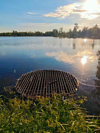This image captures a serene landscape in Zaprudnya, Russia, during what appears to be the late afternoon or early evening. The primary subject is a calm body of water, likely a lake or large pond, reflecting the bright, low sun and a partially cloudy sky.

In the foreground, a dense cluster of tall, green grasses and reeds grows along the bank, their stalks and flowering tops illuminated by the warm sunlight. Extending from the bank into the water is a large, circular metal grate, dark and appearing somewhat aged or rusty, with a grid-like pattern. This structure is partially submerged and likely serves as an overflow or drainage cover.

The expansive water surface displays gentle ripples and vivid reflections of the bright sun, creating a shimmering effect. The sky above is a clear blue with scattered white and grey clouds, hinting at a pleasant day. Across the far side of the water, a distant treeline stretches horizontally, composed of various green trees under the bright sky. The trees are also reflected in the water, especially on the right side where the sun's glare is strongest.

The scene conveys a tranquil and natural atmosphere. There is no explicit activity taking place, and no people or visible text are present in the image.