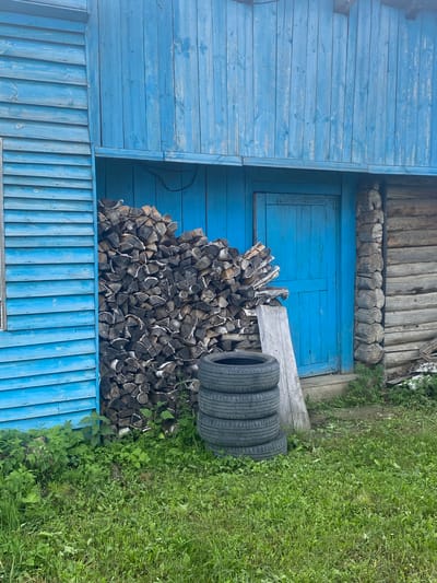 The image shows a close-up view of the exterior of a rustic building, likely in the village of Urazovo, Russia. The building features a bright blue wooden facade on the left, with horizontal planks. Adjacent to this is a bright blue wooden door. To the right of the door, the building transitions to a rustic log construction. In front of the blue facade and door, a large pile of chopped firewood is stacked high. To the right of the firewood, a stack of four black car tires is visible. The ground in front of the building is covered with green grass and some weeds. The lighting suggests it is daytime, possibly overcast.