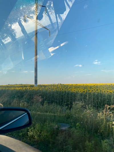This image captures a scenic view from a vehicle in Maiske, Ukraine. A vast field of sunflowers stretches across the horizon under a clear blue sky dotted with sparse clouds. In the foreground, the side mirror of the vehicle is visible, reflecting the surrounding environment. A tall utility pole stands prominently in the middle ground, with power lines extending across the frame. The reflections on the vehicle's window add a layer of complexity, showing trees and a symbol that appears to be the Ukrainian trident. The overall impression is one of rural beauty and vast open spaces, typical of the Ukrainian countryside.