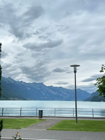 The image depicts a cloudy day scene at the lakefront in Bönigen, Switzerland. In the foreground, a paved pathway runs across the bottom of the frame, bordered by a strip of green grass on the left. To the right of the grass is another paved pathway, and beyond that, a silver railing separates the walkway from the lake. A modern, grey lamppost stands near the center of the image, slightly to the right, with a circular, flat top. A cylindrical trash can with a patterned exterior is visible behind the railing, to the left of the lamppost.

The lake, with its calm, light blue water, stretches across the middle ground. Across the lake, a range of majestic, blue-green mountains rises, their peaks softened by the atmospheric haze. The slopes of the mountains are covered in dense green trees, with scattered buildings visible on the lower slopes of the mountains in the distance. The sky above is filled with heavy, grey clouds, obscuring any direct sunlight. A dark green evergreen tree is partially visible on the far left edge of the image, and a branch with green leaves extends into the frame from the upper right.