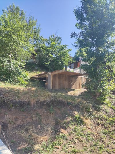 This image captures a sunny outdoor scene in Gorno-Altaysk, Russia, characterized by lush greenery and a clear blue sky. The foreground features a sloped, dry, grassy embankment with patches of dark soil and scattered vegetation. A rudimentary wooden structure, possibly a shelter or small shed, is situated on the embankment. This structure is constructed from vertical wooden planks, with a slanted wooden roof. A makeshift wooden ramp or walkway leads from the ground up to the roof level of the structure.

Behind the wooden structure, the embankment continues to rise, covered in dense green foliage and trees. In the background, glimpses of buildings, likely houses or outbuildings, can be seen peeking through the trees, suggesting a semi-rural or residential area. The overall impression is one of a natural, slightly wild setting under a bright, sunny sky. There are no people visible in the image.