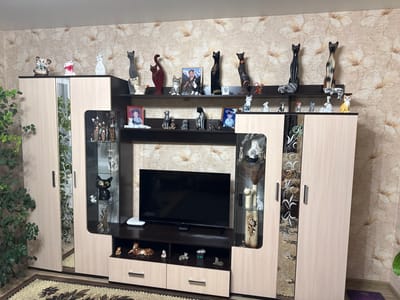 This image captures a section of a living room, featuring a large, multi-component media and display unit. The unit is constructed from light wood laminate with dark brown accents, incorporating glass display cases and mirrored panels with white floral patterns.
The predominant subject displayed across the shelves and inside the glass cases is a vast collection of cat figurines. These figurines vary significantly in size, style, material (ceramic, wood, resin), and color, depicting cats in various poses such as sitting, stretching, and lounging.
A large, black flat-screen television is centrally placed on a dark brown shelf within the unit. To its left, a white modem or router is visible. Below the television, a small digital clock displays "2:04".
Several framed photographs are interspersed among the cat collection. One prominent framed photo on a middle shelf features a man in what appears to be a military uniform, holding a cat, with faint Cyrillic text, possibly "СЛУЖУ РОССИИ" (I serve Russia), visible on the uniform or within the frame. Two other framed photos on lower shelves show young children.
The room's walls are covered with light-colored wallpaper featuring a subtle floral pattern. A patterned rug is visible on the floor, and a green houseplant stands to the left of the unit. The overall scene suggests a well-maintained home interior, reflecting a strong affection for feline decor.