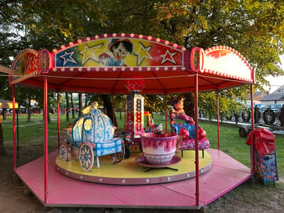 The image depicts a small, colorful carousel situated outdoors in a grassy area with trees in the background. The carousel is brightly lit with numerous small, circular lights lining the top canopy, which features cartoon characters and stars. The carousel platform is hexagonal and painted pink, with a yellow central section. Several amusement ride vehicles are attached to the carousel's rotating mechanism. These include a blue and white Cinderella-style carriage with illuminated windows, a large pink teacup with a handle and a black base, and a purple and blue seating area with red handlebars. A figure resembling a cartoon character is seated on the purple and blue seating. The carousel appears to be in a park or recreational area, as evidenced by the grass, trees, and a fence visible in the background. A trash can decorated with cartoon characters is also present on the right side of the image. The overall scene suggests a playful and festive atmosphere, likely a local fair or park attraction. The location is identified as Târgu Neamț, Romania.