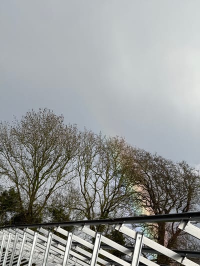 The image depicts an exterior scene at Baldurgan Hill, Ireland, under an overcast, light grey sky that occupies the upper two-thirds of the frame. A row of bare deciduous trees with intricate branch networks extends across the middle ground, their structures visible against the sky. A faint, multi-colored rainbow arc is discernible through and behind the branches on the right side of the image. In the foreground, a galvanized metal structure, consistent with a crash barrier, diagonally crosses the lower third of the frame. This structure is composed of numerous interconnected silver-colored vertical and diagonal metal bars, secured by visible bolts, and topped by a darker, horizontal metal rail. Small water droplets are visible on the surfaces of the metal structure, indicating recent precipitation. No individuals or discernible activities are present within the scene.