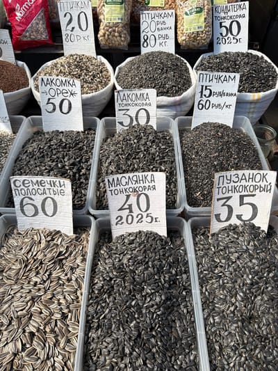 The image displays a street market stall in Taganrog, Russia, showcasing a variety of bulk edible seeds. The stall features several large white sacks and plastic containers filled with different types of seeds, including sunflower seeds in shells and shelled varieties. Each container or sack has a handwritten price tag displayed prominently.
The price tags include product names and prices in Russian rubles. For example, one tag reads "ЛАКОМКА ОРЕХ 50" (Delicious Nut 50), another "СЕМЕЧКИ ПОЛОСАТЫЕ 60" (Striped Seeds 60), and another "МАСЛЯНКА ТОНКОКОРАЯ 40" (Oily Thin-shelled 40). There are also tags indicating prices for bird feed, such as "ПТИЧКАМ 20 руб. банка 80 руб. кг." (For Birds 20 rubles per jar, 80 rubles per kg). Another tag reads "ПУЗАНЮК ТОНКОКОРЫЙ 35" (Fatty Thin-shelled 35). The prices are denominated in Russian rubles, with some indicated as per kilogram (кг) or per jar (банка). Some tags also display a year, such as "2025 г." (2025).
The setting appears to be outdoors, likely a market, with the natural light illuminating the scene. The background is somewhat blurred, suggesting a shallow depth of field, focusing attention on the products for sale. There are no people visible in the immediate foreground or interacting with the products. The overall impression is one of a typical market scene, focused on the sale of food items.
