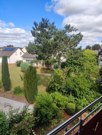The image captures a residential backyard in Unterpleichfeld, Germany, on a partly cloudy day. The foreground features a metal balcony railing and a portion of a dark-colored structure. Beyond the railing, a well-maintained garden unfolds, showcasing a variety of lush green trees and shrubs. Two tall, conical evergreen trees stand prominently in the middle ground, flanking a pathway leading to a house. In the background, a residential building with a tiled roof and solar panels is visible, alongside neighboring houses and more mature trees. The lawn is green and appears somewhat dry in patches. A small soccer goal is set up on a paved area in the lower left of the frame. The sky is a vibrant blue with scattered white cumulus clouds.