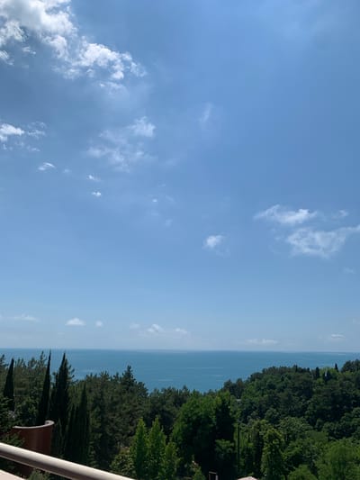 This media file is a vertical, high-angle shot of a serene landscape. The dominant subjects are the vast expanse of a clear blue sky dotted with wispy white clouds and a dense, dark green forest bordering a calm, blue body of water. The forest appears to be on a slope leading down to the water's edge. In the foreground, a railing, likely part of a balcony or viewing platform, is visible on the right side of the frame, suggesting the vantage point. The lighting indicates it's daytime, likely late morning or early afternoon, with bright, diffused sunlight illuminating the scene. There is no discernible activity or event taking place; the image captures a tranquil moment in nature. The overall mood is peaceful and expansive. While the location context is Sosnovy, Russia, there are no specific visual cues within the image that explicitly identify this location. No text is visible in the media file.