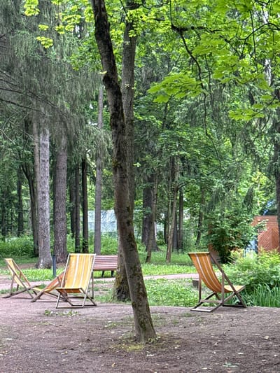 This image depicts a serene outdoor scene, likely in Vnukovo, Russia, with a focus on a park-like setting. The dominant subjects are two striped deck chairs, one in the foreground and another partially visible behind it, suggesting a leisurely atmosphere. These chairs, with their orange and white stripes, are arranged on a gravelly path that meanders through a dense forest. The surrounding environment is lush and green, with tall trees and various foliage creating a natural backdrop.
The time of day appears to be daytime, with the light filtering through the trees. The weather seems pleasant, conducive to outdoor relaxation, as indicated by the presence of the deck chairs. There are no people visible, reinforcing the sense of tranquility. The scene is characterized by a natural, undisturbed feel, with a focus on the interplay between the man-made objects (chairs, a bench in the background) and the natural elements.
Notable details include the textured bark of the trees and the dappled sunlight on the ground. The presence of a wooden structure, possibly a building or shelter, is faintly visible in the upper right portion of the image, adding a touch of human presence to the otherwise natural landscape. The overall emotion conveyed is one of peace and quietude, inviting the viewer to imagine a relaxing moment in nature. Text is visible on the fabric of the closer deck chair, reading "REPLAXINGO".