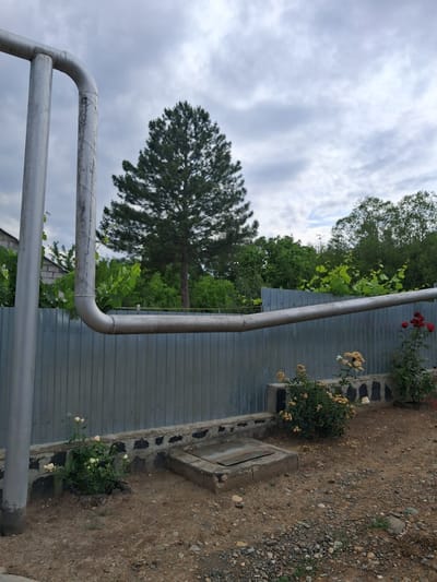 The image depicts an outdoor scene in Yeghegnadzor, Armenia. In the foreground, a large, silver-colored pipe runs horizontally across the frame, supported by vertical pipes on the left. This pipe is positioned in front of a corrugated metal fence. To the left of the fence, a portion of a brick building is visible.
Behind the fence, a large, mature evergreen tree stands prominently in the middle ground, its dark green foliage contrasting with the overcast sky. The sky is filled with gray clouds, suggesting a potentially cloudy or stormy day. Lush green foliage from trees and vines is visible on either side of the evergreen tree, extending behind the fence.
In the lower right quadrant of the image, a cluster of rose bushes is present. One bush has light-colored roses, and another to its right displays red roses. A low concrete wall borders the area with the roses. A concrete slab with a metal cover is situated in front of this wall, to the left of the rose bushes. The ground in the foreground is a mix of dirt and small stones.