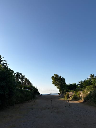 This is a ground-level, eye-level shot of a sandy path leading towards a body of water. The path is lined with vegetation on both sides, including palm trees and various shrubs. In the distance, the sea is visible, with a faint line of beach chairs or umbrellas along the shore. The sky is a clear, pale blue. The path appears to be a walkway or access route to the beach. There are a few wooden posts with ropes running between them, possibly to delineate the path or for decorative purposes. The overall impression is one of a tranquil, natural setting, likely a public access point to a beach in or near Mont-roig del Camp, Spain. There are no people clearly visible in the immediate foreground or on the path. The lighting suggests it is either early morning or late afternoon, given the long shadows cast by the vegetation.