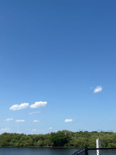 The image captures a serene scene in Fort Lauderdale, United States. A significant portion of the frame is dominated by a clear, blue sky, punctuated by scattered cumulus clouds of varying sizes and shapes. Along the right edge of the image, a dense green line of trees suggests a shoreline or a park bordering a body of water. A segment of a black metal fence runs parallel to the trees, possibly indicating a pathway or a boundary. The presence of overhead power lines subtly hints at the urban context of the natural scenery. The color palette is primarily composed of blues and greens, lending a tranquil atmosphere to the overall composition.