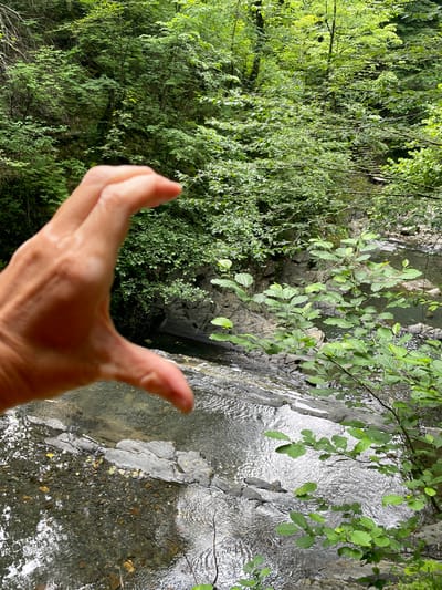 The image shows a hand in the foreground, with its palm facing the camera and fingers curled as if holding something. The hand is lit from the front, with its skin appearing smooth and lightly tanned. The background is a lush, green forest scene with a stream flowing through it. The stream has clear water with rocks and pebbles visible on its bed. The trees are dense, with sunlight filtering through the leaves, creating dappled light and shadows. The overall mood is serene and natural, suggesting a peaceful outdoor setting. The time of day appears to be daytime, with the lighting indicating it could be morning or afternoon. There are no visible signs of text or specific landmarks that would pinpoint the exact location within Izmaylovka, Russia. The image does not depict any specific activity or event beyond the presentation of the hand in the natural environment.