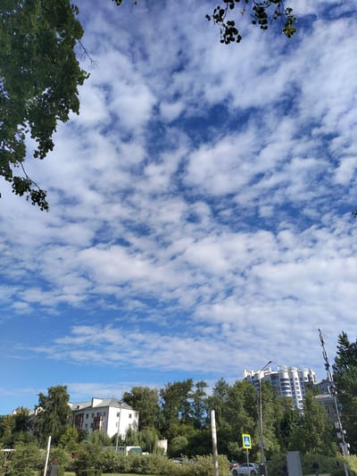 This is a vertical, eye-level shot of a cloudy blue sky over the city of Korolyov, Russia. The sky is filled with scattered white cumulus clouds, with patches of blue visible between them. In the foreground, tree branches with green leaves frame the top left of the image. Below the sky, a low-rise residential building is visible on the left, with a modern, multi-story building in the background on the right. Trees and bushes line the area between the buildings. A pedestrian crossing sign is visible near the modern building. A silver car is parked on the street. The scene appears to be a typical urban landscape on a sunny, partly cloudy day.