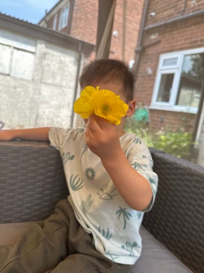A child is sitting on an outdoor sofa, holding a yellow poppy in front of their face. The child is wearing a light-colored t-shirt with a palm tree and cactus pattern, and olive-green trousers. In the background, there is a brick house with white-framed windows and a grey shed. The scene appears to be in a residential backyard, possibly in Leeds, United Kingdom, given the typical architecture of the buildings and the presence of outdoor furniture. The sky is visible, with some clouds.