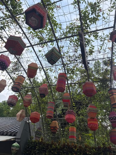 An overhead perspective captures a vibrant display of intricately patterned, multi-sided lanterns suspended from a metal trellis structure. Lush green vines with small red flowers intertwine with the trellis, creating a natural canopy. The lanterns, varying in size and shape, are adorned with a rich tapestry of geometric designs in colors such as red, green, purple, orange, and yellow, with some exhibiting a hexagonal form and others a more elongated, cylindrical appearance. The background reveals a cloudy sky and the silhouettes of trees. In the lower left, a glimpse of traditional Vietnamese architecture is visible, with a dark, tiled roof and a gray, angled wall. The scene is outdoors and appears to be set in a garden or courtyard, potentially in Tây Hoa Lư Ward, Vietnam, given the architectural style and the abundance of tropical foliage. There are no people or animals present in the image.