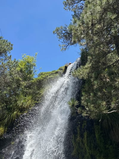 This image captures a cascading waterfall in San Mateo Ozolco, Mexico, under a clear blue sky. Lush green foliage, including tall grasses and pine trees, frames the scene. The water is actively falling, creating a spray of white mist. In the upper portion of the waterfall, a person is visible standing at the edge. The environment appears natural and somewhat rugged, with dark, wet rocks forming the cliff face.
