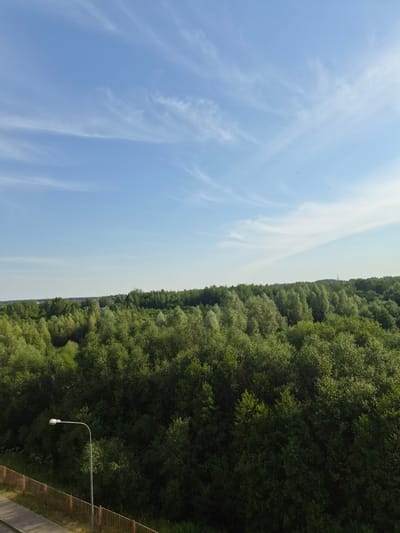 The image shows a vast expanse of lush green trees lining a distant horizon. The sky above is a clear blue, punctuated by wispy white clouds that stretch across the frame. A singular lamppost with a white fixture stands to the right, extending from a concrete structure topped with a rusty metal railing. The overall scene suggests a natural landscape, possibly a park or a forested area, under a bright, clear sky. The orientation of the image is unusual, with the sky and trees appearing to run vertically. The time of day appears to be daytime, with ample sunlight illuminating the scene. No text is visible in the image.