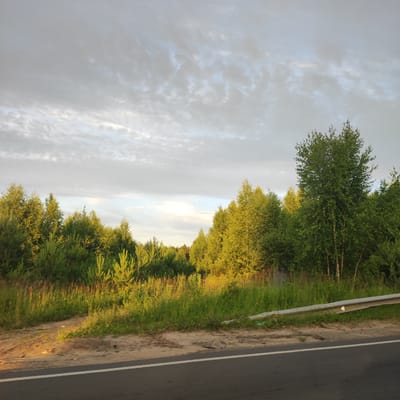 The image depicts a roadside view of a forest under a cloudy sky. The subjects are trees, predominantly green and varied in species, with some appearing to be birches due to their white trunks. The scene is set along a paved road, indicated by the asphalt surface and a white line marking the lane. A metal guardrail runs along the edge of the road, separating it from the grassy verge and the forest beyond.
The time of day appears to be late afternoon or early evening, suggested by the warm, golden light that illuminates parts of the trees, contrasting with the cooler, grayish tones of the sky. The clouds are scattered and textured, hinting at a partly cloudy or overcast day. There is no discernible activity or event taking place; it's a static landscape.
Notable details include the lush green grass and vegetation along the roadside, with some taller, reddish-brown stalks interspersed. The forest itself is dense, with a mix of mature trees and younger pines. The overall mood is serene and natural, with a slight feeling of the approaching end of the day. No text is visible in the image. The context provided places this scene in Kineshma, Russia.