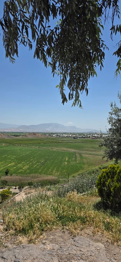 The image captures a serene landscape in Lusarat, Armenia, under a clear blue sky. In the foreground, lush green foliage of trees drapes from the top, casting shadows and framing the scene. Below, a rolling green field stretches out, patterned with rows of crops. Further in the distance, a village with scattered houses is nestled amongst verdant fields, leading towards a range of hazy mountains on the horizon. The scene is one of natural beauty and rural tranquility.