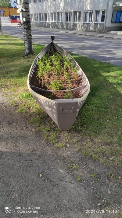 In Iisalmi, Finland, a weathered canoe filled with young saplings sits as a planter on a grassy patch adjacent to a paved walkway and a road. The canoe, painted a muted grey with a decorative pattern of light-colored shapes along its exterior, faces away from the viewer. The saplings are planted in dark soil, with their green foliage reaching upwards. Behind the canoe, a modern building with numerous windows lines the street. The scene suggests an urban setting where repurposed objects are used for decoration.