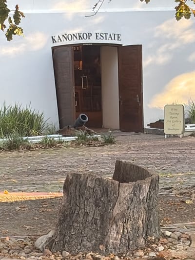 The image depicts the entrance to Kanonkop Estate, a wine tasting room, art gallery, and boutique located in Stellenbosch NU, South Africa. The name "KANONKOP ESTATE" is prominently displayed vertically on the white facade of the building, to the left of the entrance. The wooden entrance doors are open, revealing the interior. A small cannon is positioned near the entrance. A sign that reads "Wine Tasting Room, Art Gallery, and Boutique" is on the right side of the entrance. A section of a tree trunk is in the foreground on the right. The ground is paved with cobblestones and grass. A tree is on the left, and the sky is slightly visible in the top part of the picture.