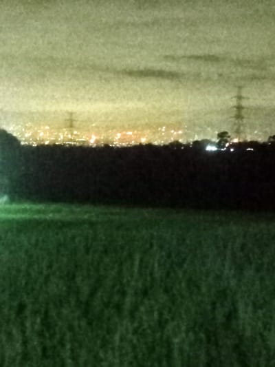 The image depicts a dark, grainy landscape scene at night, likely in Kecamatan Pangalengan, Indonesia. The foreground is dominated by a wide expanse of dark green grass or field, appearing textured and slightly blurred. In the middle ground, a dark, indistinct silhouette of a treeline or dense vegetation forms a low horizon.
Beyond this dark natural barrier, the background reveals a panorama of distant city lights, glowing as numerous small, bright, warm-toned dots. These urban lights illuminate a hazy, yellowish-green sky above, suggesting light pollution. Two tall, dark power line towers (pylons) are visible as distinct silhouettes against this glowing backdrop, one positioned towards the left-center and another on the right side.
The scene captures a quiet, rural vantage point looking towards a populated area after dark. The low light conditions contribute to a visible grain or noise in the image. There are no people visible, nor any specific activity taking place. No text is present in the image.