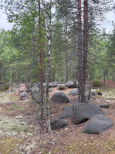The image shows a rocky, forested area. A cluster of large, dark grey boulders is arranged in a somewhat linear fashion across a slight incline covered in moss and pine needles. The background consists of a dense forest of pine and birch trees. The sky is overcast. There are no people or animals visible. The scene appears to be in a natural, uncultivated environment. The provided coordinates indicate the location is in the vicinity of Pobeda, Russia.