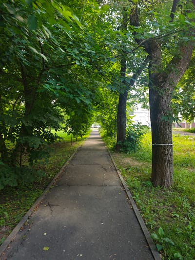 The image depicts a paved pathway lined with mature trees on both sides. The pathway recedes into the distance, suggesting a park or a tree-lined street. The trees are lush with green foliage, indicating it is likely summer. On the right side of the path, a white band is tied around the trunk of one of the trees. Beyond the trees on the right, a building with white walls and windows is partially visible, along with a fence. On the left side, more trees and greenery are present. The sky is not clearly visible due to the dense canopy of leaves. The pathway shows signs of wear and tear, with cracks and scattered debris. The overall scene is one of an urban green space.