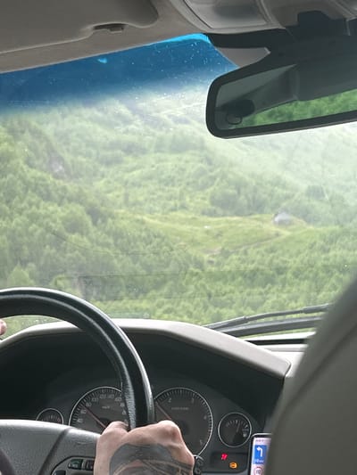 The image shows the interior of a vehicle, likely a truck, as seen from the driver's perspective. The driver's hands, one with tattoos, are visible gripping the steering wheel. The dashboard is partially visible, displaying a speedometer with markings up to 200 km/h and a fuel gauge. A smartphone mounted on the dashboard shows a navigation screen with a left turn arrow and a speed limit of 80 km/h. The windshield reflects a lush, green, and slightly blurry landscape, suggesting an outdoor scene. The light suggests it is daytime. The presence of a speed limit sign on the navigation device could indicate the vehicle is currently on a road. Given the location context of Røldal, Norway, the landscape likely represents the mountainous or rural terrain of the region, possibly during the spring or summer months given the vibrant green foliage. The overall impression is of a journey in progress through a scenic natural environment.