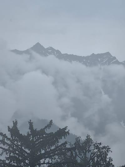 The image shows a misty mountain landscape. In the foreground, the dark silhouette of a coniferous tree is visible. Behind the tree, a range of mountains is shrouded in clouds, with only the peaks and some snow-covered sections visible. The sky is overcast and gray, contributing to the overall muted and atmospheric feel of the scene. The location is identified as Prini, India.
