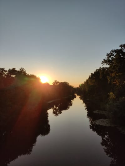 The image captures a sunset over the Elbe River in Kolín, Czechia. The sun, a bright orb casting a strong lens flare, is partially obscured by trees on the left side of the frame. The sky transitions from a pale blue at the top to a warm orange hue near the horizon. The river reflects the trees and the sky, creating a dark, glassy surface. Dense foliage lines both banks of the river, with the trees on the right appearing darker and more silhouetted. The scene is devoid of any people or visible structures.