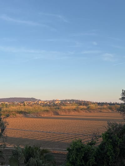 The image shows a landscape in Giugliano in Campania, Italy. The left side of the frame is dominated by a clear, pale blue sky with wisps of clouds. The right side features a cultivated field with distinct rows running vertically.  Adjacent to the field is a narrow strip of dense vegetation and a residential area with closely packed buildings lining the top of a slope. The scene is partially framed by trees in the foreground. The overall color palette is warm, with the field and buildings having a golden-brown hue likely due to the lighting conditions. Shadows from trees and possibly power lines are cast across the field. No people are visible.
