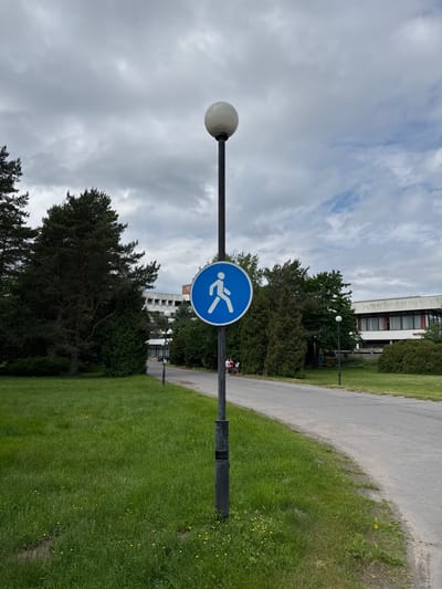 A pedestrian crossing sign is mounted on a lamp post in a grassy area next to a paved path. The sign is a blue circle with a white silhouette of a person walking. The lamp post is tall and black with a round, white light at the top. In the background, there are trees and buildings. The sky is cloudy. The scene appears to be in an urban or suburban park area in Sestroretsk, Russia. A group of people are visible in the distance, walking on the path.