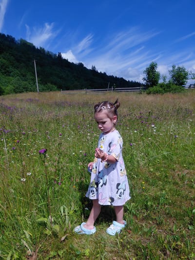 A young girl stands in a field of tall grass and wildflowers. She is wearing a light purple dress with a Minnie Mouse print and light blue clogs. Her hair is styled in two buns with star-shaped clips. She is looking down at her hands, which are holding a small flower. The field is surrounded by a dense forest on a hillside, with a wooden fence visible in the background. The sky is a bright blue with wispy white clouds. The location is a rural area, possibly the outskirts of Chernyk, Ukraine, given the natural landscape.