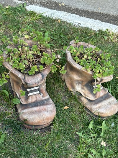 Two weathered, boot-shaped planters, filled with small green succulents, sit on a patch of grass next to a paved area with a white line. The planters are a mottled brown and grey, with visible texture suggesting they are made of concrete or a similar material. Each planter has raised details resembling laces. The grass is green but somewhat sparse in places, with some weeds visible. In the background, the edge of a paved surface with a white line marking is visible. The scene appears to be outdoors, possibly in a garden or yard. No people are present. The location is identified as Sadovoe, Moldova.