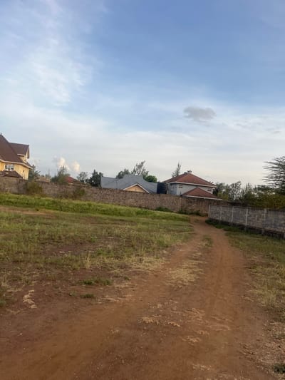 A dirt path stretches into the distance, flanked by grassy areas. Brick walls run parallel to the path on the left, separating it from residential houses. The houses have varied rooflines. Above, the sky transitions from blue to pale white, with sparse clouds. Trees are seen behind the walls, lining the horizon.